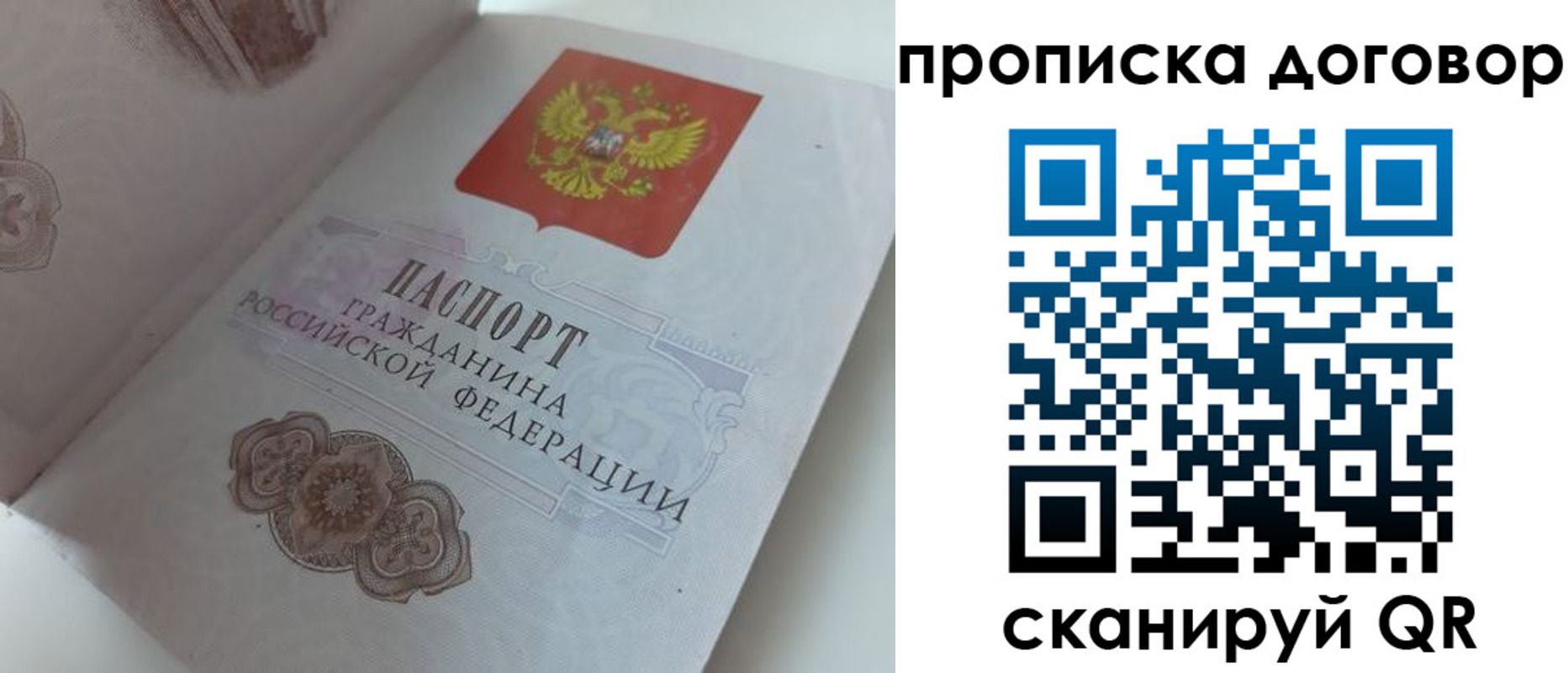 прописка поиск в Ермолино
